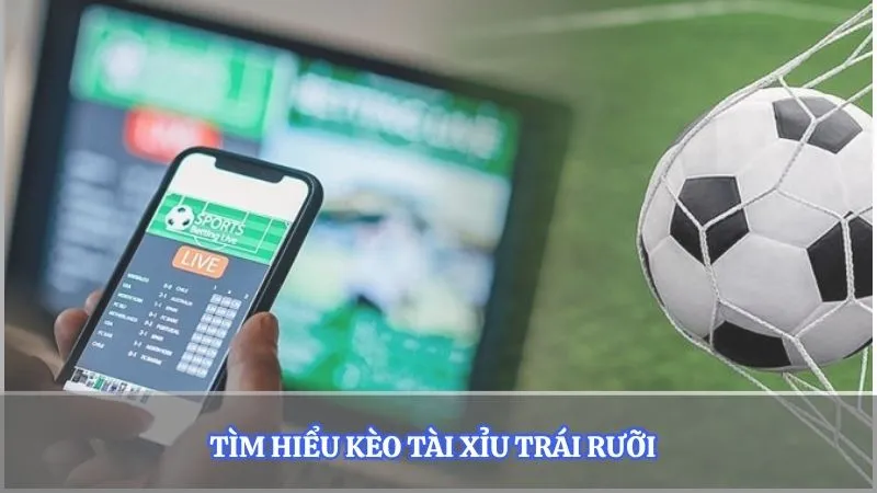 Tìm hiểu kèo tài xỉu trái rưỡi